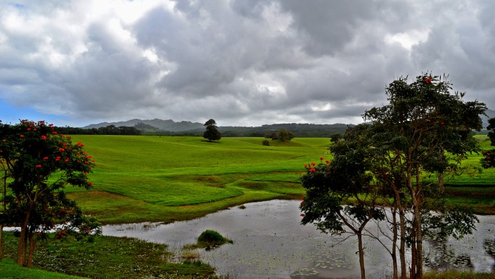 Kauai landscape)