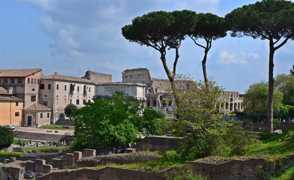 Colosseum in background behind the trees